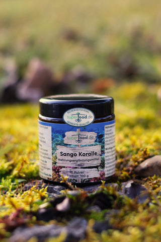 Dose Sango Koralle auf der Wiese