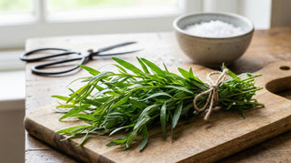 Estragon – Ein umfassender Blick auf ein aromatisches Küchen- und Heilkraut