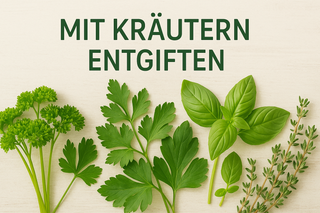 Mit Kräutern entgiften – Natürliche Unterstützung für die körpereigenen Reinigungsprozesse
