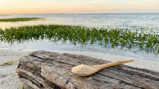 Seegras: Natürliche Hilfe gegen Schwermetalle